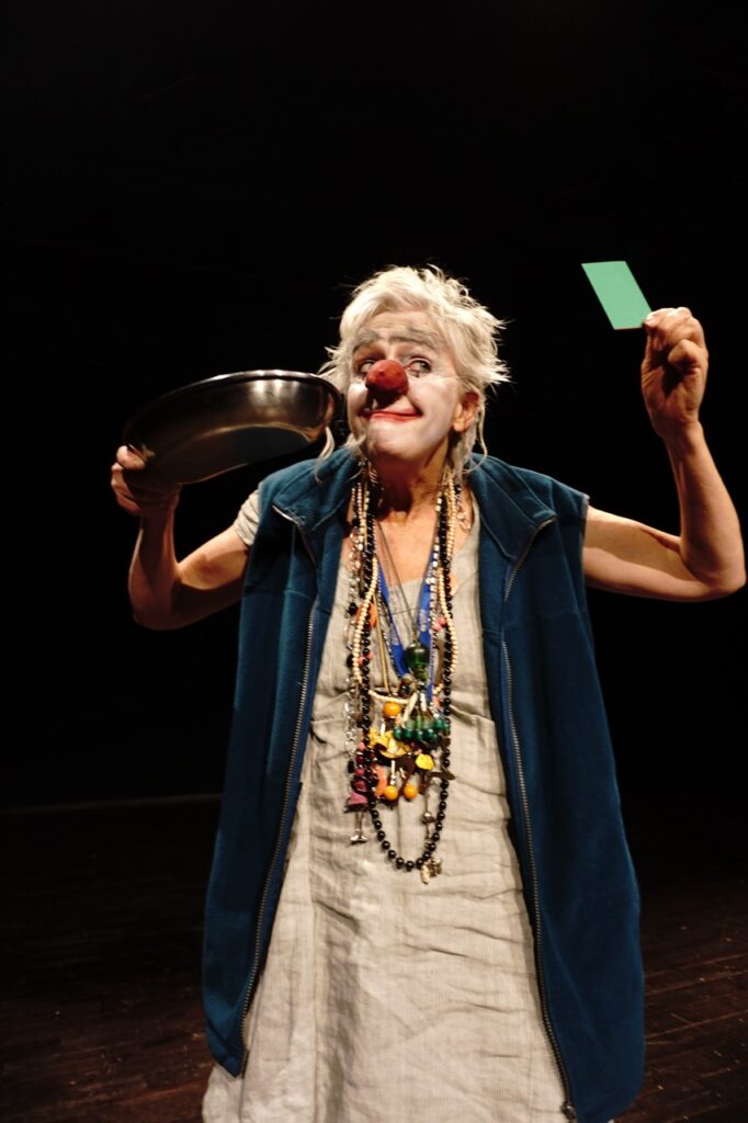 Photo du spectacle La Viok